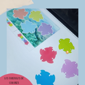 PDF TORTUGAS DE COLORES DE MINILAND, ¿QUÉ SON?, PROPUESTAS DE ACTIVIDADES