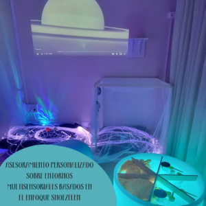 ASESORAMIENTO PERSONALIZADO SOBRE ENTORNOS MULTISENSORIALES BASADOS EN EL ENFOQUE SNOEZELEN
